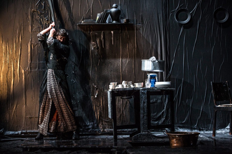 demivéronique la vie brève